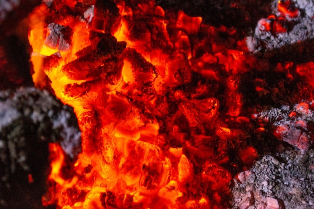 Il fuoco notturno fiammeggia il falò dei carboni