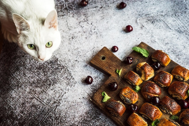 Il gatto bianco con gli occhi verdi siede su un tavolo grigio accanto a torte di papavero con foglie di menta ciliegie che giacciono su una tavola di legno marrone