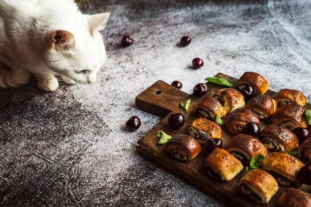 Il gatto bianco si siede su un tavolo grigio accanto a torte di papavero con foglie di menta ciliegie che giacciono su una tavola di legno marrone