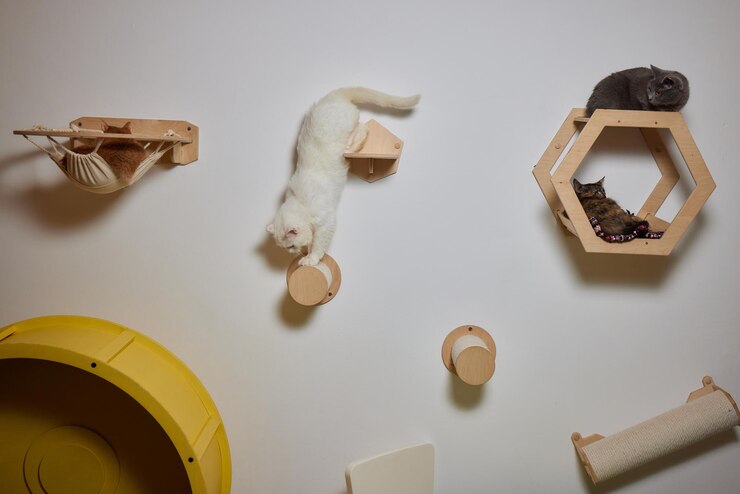 Il gatto domestico divertente si arrampica sul palo del gatto