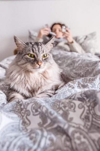 il gatto domestico soffice a strisce grigie giace sul letto il bambino malato o addormentato è su sfondo sfocato