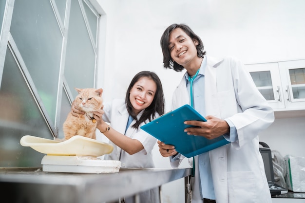 Il gatto sano è tenuto e pesato da due veterinari sorridenti che guardano la clinica veterinaria