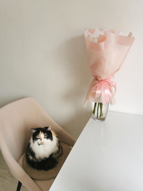 Il gatto si siede su una poltrona accanto a un mazzo di rose rosse in un vaso di vetro sul tavolo