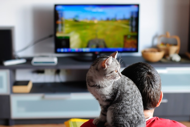 Il gatto si siede sulla spalla di un uomo con una grande TV dietro di lui