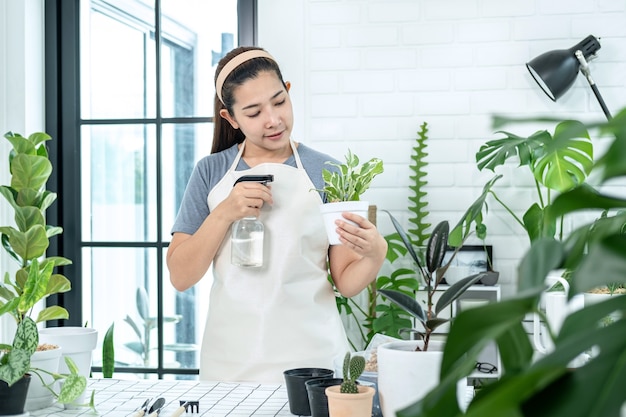 Il giardiniere asiatico tiene in mano un vaso con la pianta e si prende cura delle piante spruzzando acqua di fertilizzante sulle piante nella stanza di casa mentre è in piedi per l'attività hobbistica, concetto di giardino di casa