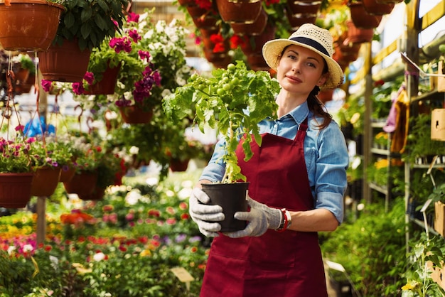 Il giardiniere della donna in cappello e guanti lavora con i fiori nella serra