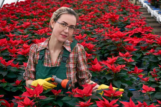 Il giardiniere della donna in serra si prepara ad innaffiare i fiori della stella di Natale con l'ugello dello spruzzo