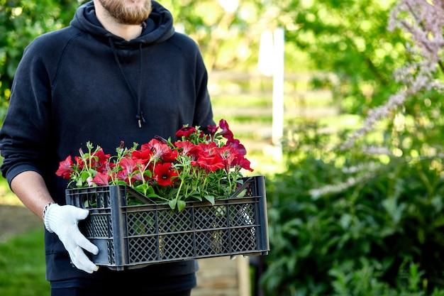 Il giardiniere sta portando i fiori in cassa al negozio.