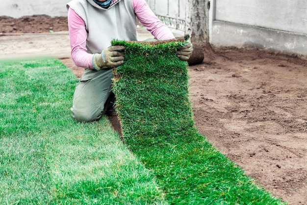 Il giardiniere sta rivestendo il terreno con rotoli verdi di un prato