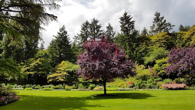 Il giardino di Buchart