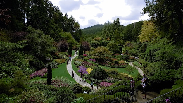 Il giardino di Buchart