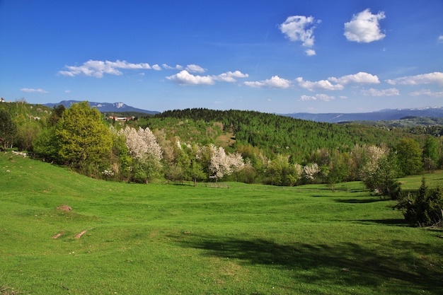 Il giardino in Bosnia ed Erzegovina