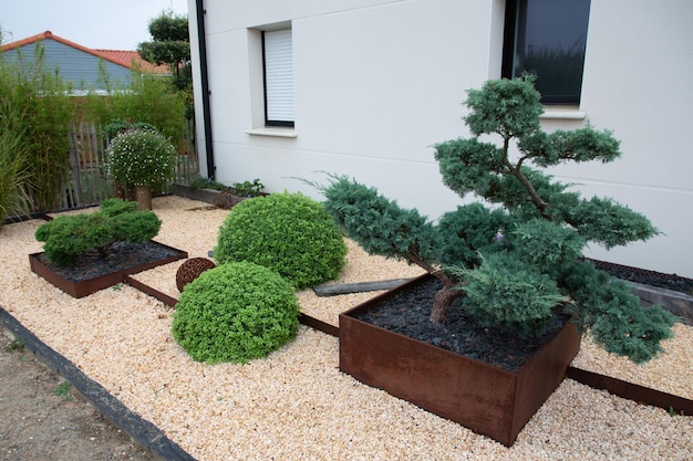 Il giardino mantenuto di ispirazione asiatica presenta rocce e alberi e pietre in stile minimalista