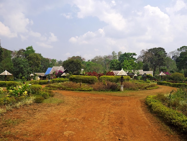 Il giardino nel sud del Laos