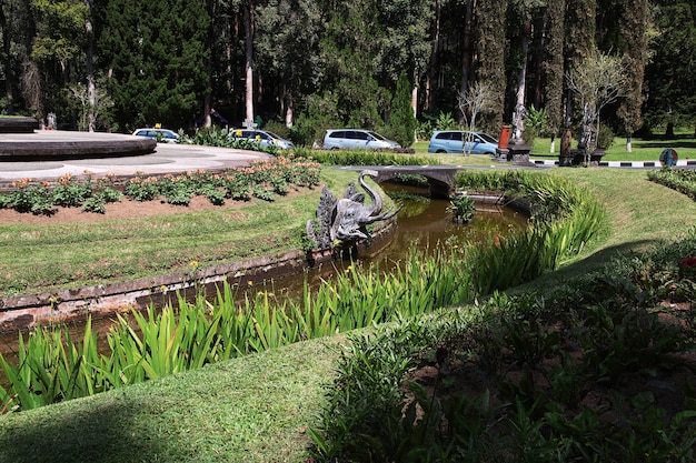 Il giardino sull'isola di Bali, Indonesia