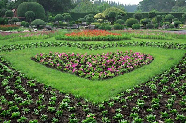 Il giardino verticale nel parco.