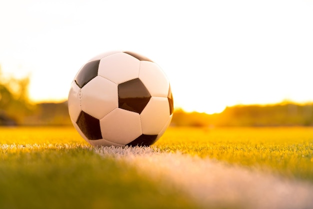 Il giocatore di football ha messo il calcio della palla sull'erba al calcio di punizione per vincere il punteggio nella partita della Coppa del mondo dello stadio
