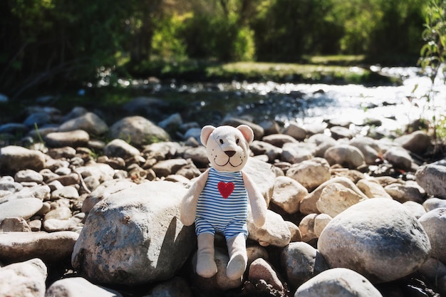 Il giocattolo dell'orsacchiotto si trova nella natura vicino al fiume in estate Concetto di viaggio