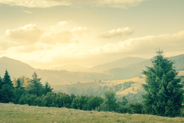 Il giorno d'estate è nel paesaggio di montagna in stile vintage dai toni Carpazi Ucraina Europa Bellezza natura