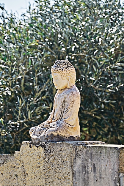 Il giorno di Vesak è la statua del piccolo Buddha di compleanno di Buddha sulla recinzione nel giardino degli ulivi