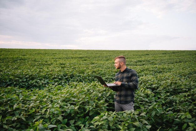 Il giovane agronomo tiene il computer touch pad tablet nel campo di soia ed esamina le colture prima della raccolta. concetto di agroalimentare. ingegnere agricolo in piedi in un campo di soia con un tablet in estate