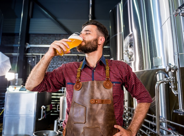 Il giovane birraio che indossa un grembiule di pelle sta testando la birra in un moderno birrificio