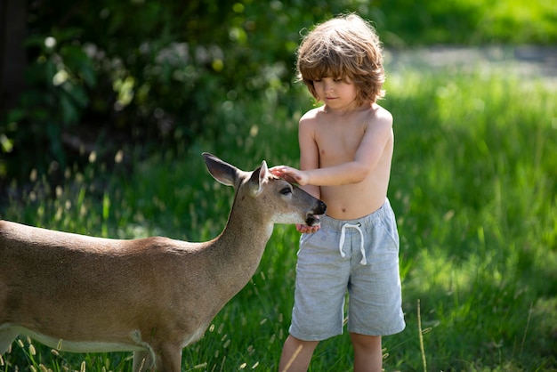 Il giovane cervo maschio cammina nel parco e mangia dalle mani dei bambini cervi bambi e animali selvatici c...