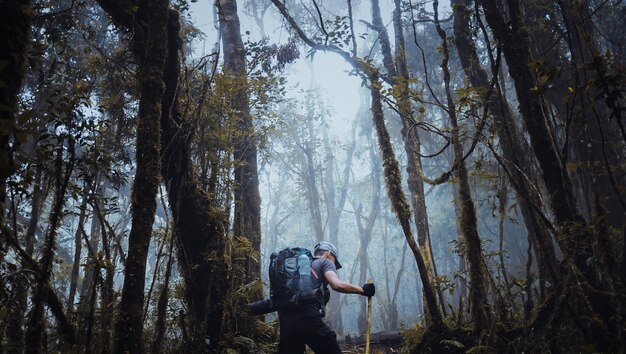 il giovane con le spalle in mezzo alla foresta