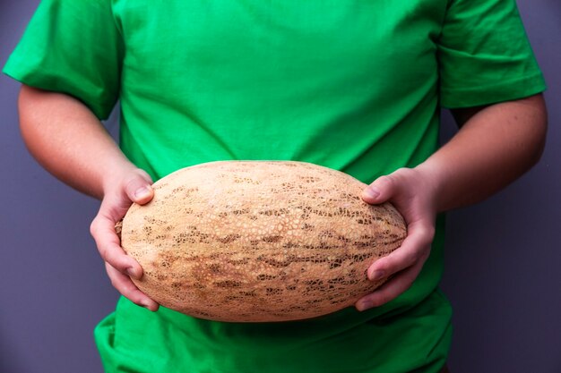 Il giovane tiene in mano un grande melone maturo arancione ovale Prodotti agricoli utili Raccolto dal campo