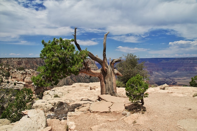 Il Grand Canyon in Arizona, unisce gli Stati