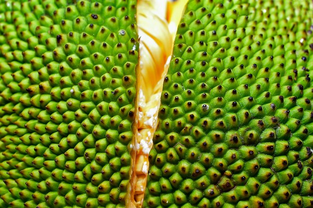 Il jackfruit è un frutto giallo dolce e delizioso