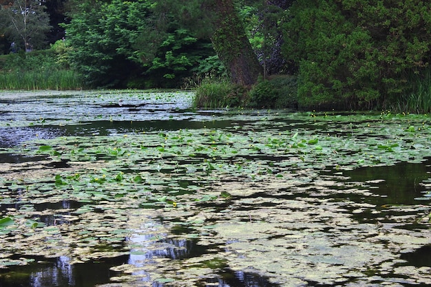 Il lago in Powerscourt Gardens e House Dublin Ireland