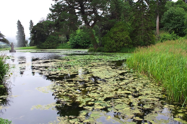 Il lago in Powerscourt Gardens e House Dublin Ireland