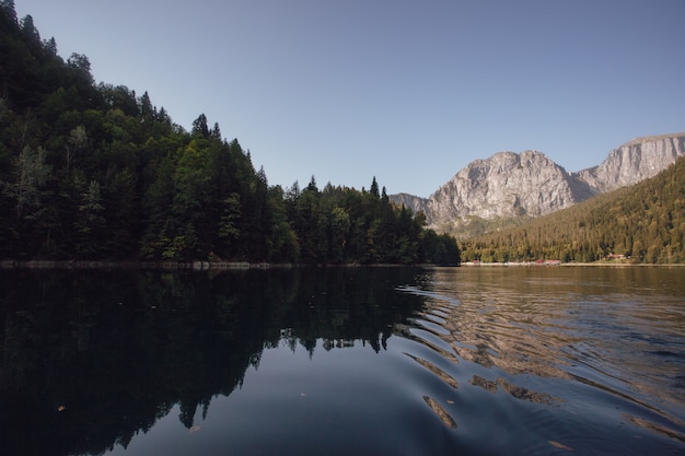 Il lago, la foresta e le montagne