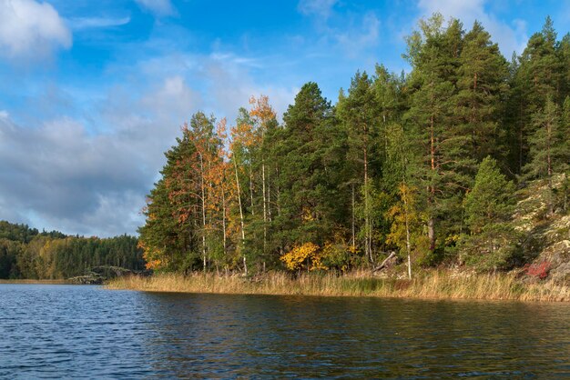 Il lago Ladoga in una soleggiata giornata d'autunno Ladoga skerries Lumivaara Lakhdenpokhya Karelia Russia