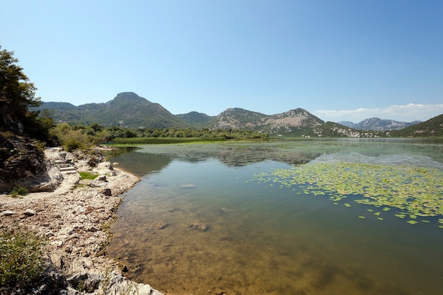 Il lago (Montenegro) - Lago di Scutari situato in Montenegro durante l'estate dell'anno