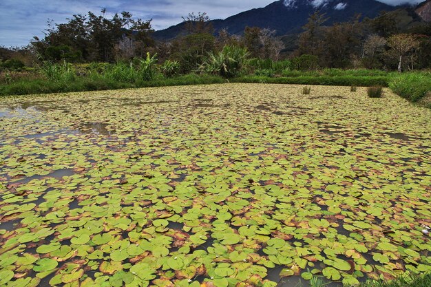 Il lago nella valle di Wamena, Papua, Indonesia