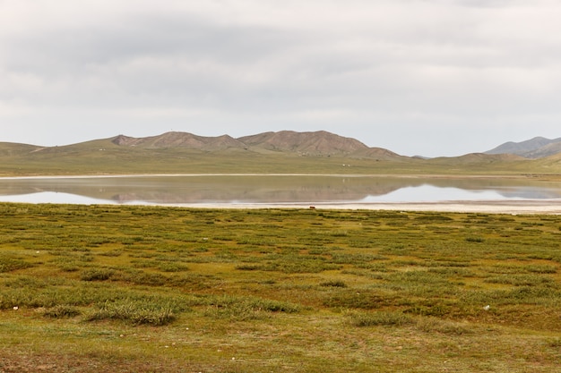 Il lago Terkhiin Tsagaan, noto anche come lago bianco, è un lago nei Monti Khangai, in Mongolia