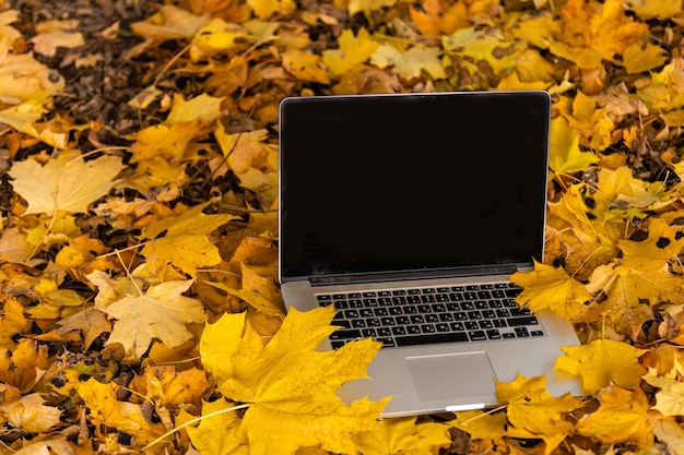 il laptop giace a terra nel parco autunnale