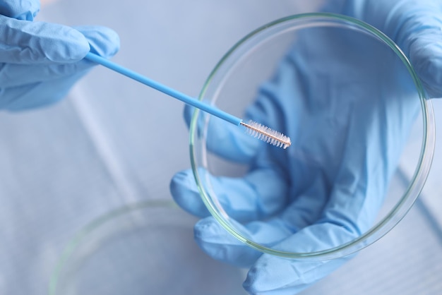 Il lavoratore di laboratorio tiene il contenitore di vetro con la spazzola della provetta lavora in guanti sterili