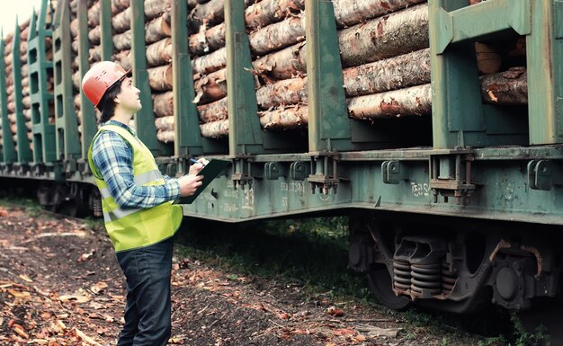 Il lavoratore in casco conta il legname di legno