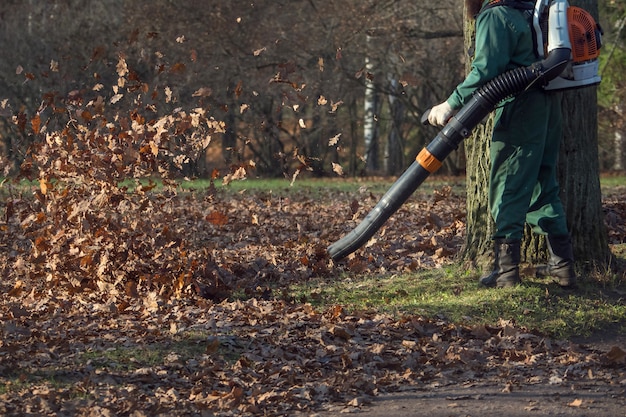 Il lavoratore maschio rimuove il prato inglese del soffiatore di foglia del giardino di autunno.