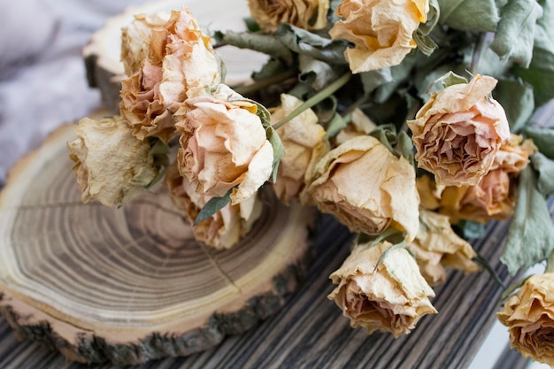 Il legno tagliato con rose essiccate; rose secche su un albero tagliato. Decorazione d&#39;epoca