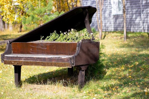 Il letto per fiori attrezzato in un vecchio pianoforte nero nel parco cittadino. Fiori di petunia in un insolito letto creativo.