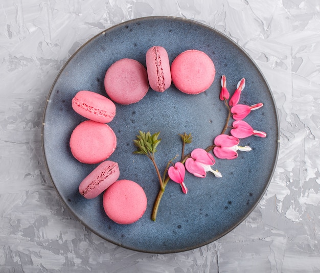 Il macaron o il maccherone porpora e rosa agglutina sul piatto ceramico blu su fondo concreto grigio.