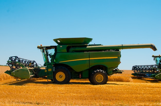 Il macchinario agricolo raccoglie il raccolto giallo del grano nel campo aperto un giorno luminoso soleggiato