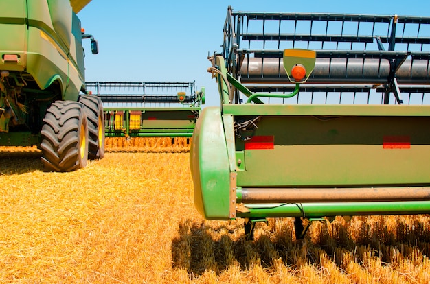 Il macchinario agricolo raccoglie il raccolto giallo del grano nel campo aperto un giorno luminoso soleggiato