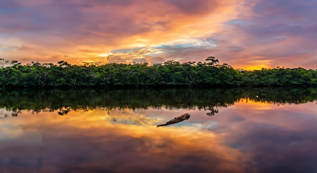 Il maestoso fiume Amazzonia con uno splendido tramonto sullo sfondo in alta risoluzione