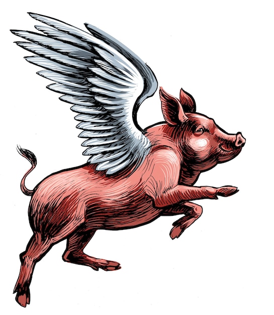 Il maiale volante, illustrazione disegnata a mano