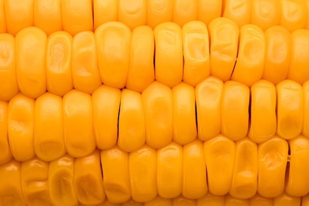 Il mais bollito giallo di consistenza del mais è mais bollito molto vicino